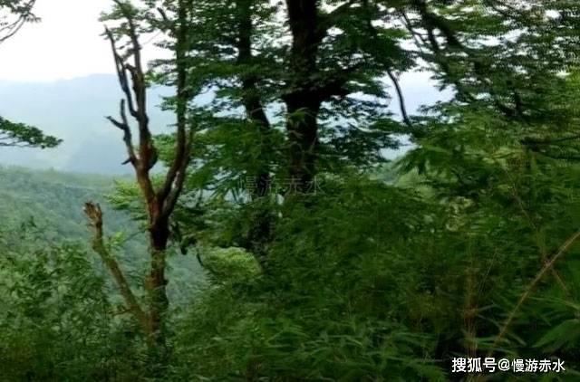 华硕灵耀14 2024:长续航AI超轻薄本,让移动办公更轻松